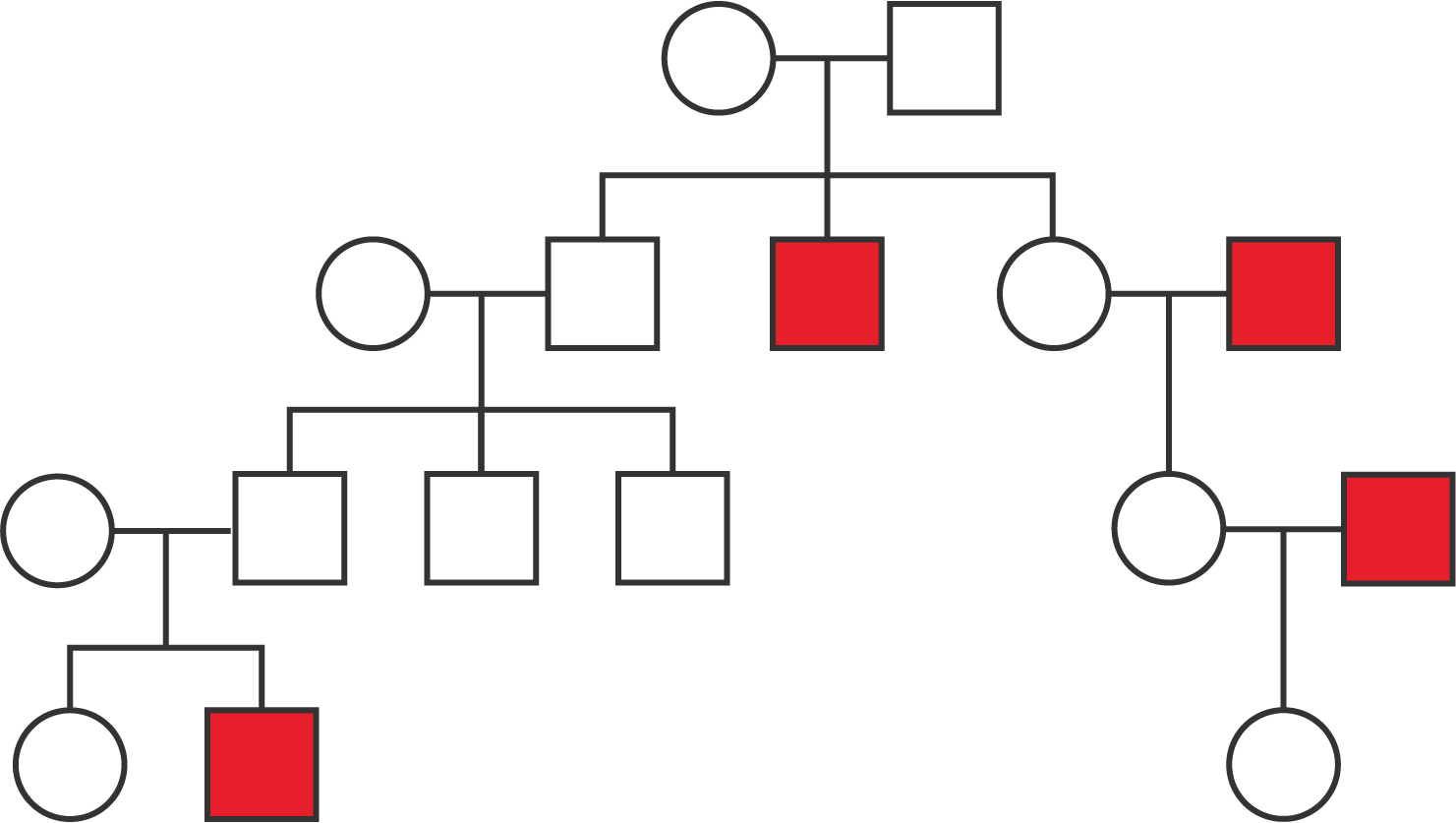A pedigree with four generations.
